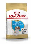 Royal Canin Hondenvoer Cavalier King Charles Puppy 1,5 kg