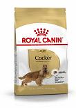 Royal Canin Hondenvoer Cocker Adult 12 kg