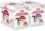 Royal Canin Kat Natvoer 12 x 85 gr