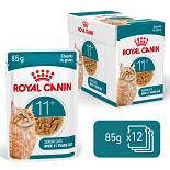Royal Canin Kattenvoer Ageing 11+ in gravy 12 x 85 gr