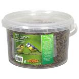 4-Seizoenen Black Soldier Flies Larven 2,5 ltr