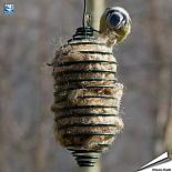 Nestmateriaal