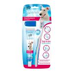 All for Paws Sparkle Combo Pack (Brush, Finger Brush)