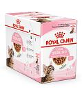 Royal Canin Kattenvoer Kitten Sterilised Gravy 12 x 85 gr