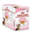 Royal Canin Kattenvoer Kitten Sterilised Jelly <br>12 x 85 gr