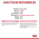 Royal Canin Kattenvoer Kitten Sterilised Gravy 12 x 85 gr