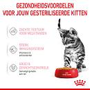 Royal Canin Kattenvoer Kitten Sterilised Jelly <br>12 x 85 gr