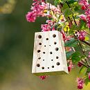 CJ Wildlife Insectenblok Navariso