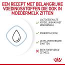 Royal Canin Hondenvoer Babydog Milk 2 kg