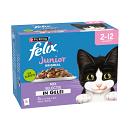 Felix Original Mix Selectie in Gelei Junior 12 x 85 gr