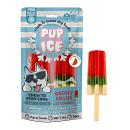 Pup Ice Hondenijsje Raket Watermeloen 2 st
