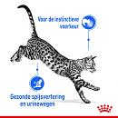 Royal Canin Kattenvoer Indoor 7+ in Gravy <br>12 x 85 gr