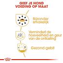 Royal Canin Hondenvoer Chihuahua Adult 500 gr