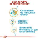 Royal Canin Hondenvoer Chihuahua Puppy 500 gr