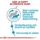 Royal Canin Hondenvoer Maxi Starter 4 kg