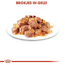 Royal Canin Kattenvoer Sterilised in Jelly <br>12 x 85 gr