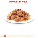 Royal Canin Kattenvoer Instinctive in Jelly <br>12 x 85 gr