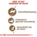 Royal Canin Kattenvoer Ageing 12+ 4 kg