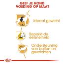 Royal Canin Hondenvoer Beagle Adult 3 kg