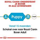 Royal Canin Hondenvoer Boxer Puppy 12 kg