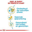 Royal Canin Hondenvoer Bulldog Puppy 3 kg