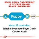 Royal Canin Hondenvoer Cocker Puppy 3 kg