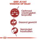 Royal Canin Kattenvoer Fit 32 4 kg