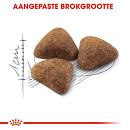 Royal Canin Kattenvoer Indoor 27 4 kg