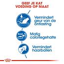 Royal Canin Kattenvoer Indoor 27 4 kg