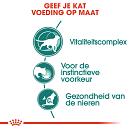 Royal Canin Kattenvoer Instinctive 7+ in Gravy 12 x 85 gr
