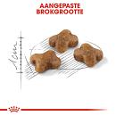 Royal Canin Kattenvoer Kitten 2 kg
