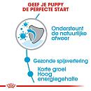 Royal Canin Hondenvoer Medium Puppy 15 kg