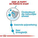 Royal Canin Hondenvoer Mini Puppy 2 kg