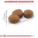 Royal Canin Kattenvoer Sterilised 37 10 + 2 kg