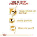 Royal Canin Hondenvoer Cavalier King Charles Adult 3 kg