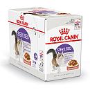 Royal Canin Kattenvoer Sterilised in Gravy <br>12 x 85 gr