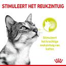 Royal Canin Kattenvoer Sensory Smell in gravy 12 x 85 gr
