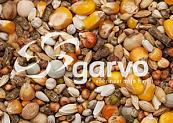 Garvo G-Spirits Sprint 20 kg