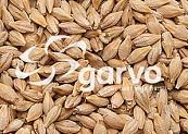 Garvo Duivengerst Blank & Dik 20 kg