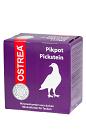 Garvo Pikpot Ostrea Rood 24 st 1 kg