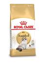 Royal Canin Kattenvoer Ragdoll Adult 10 kg