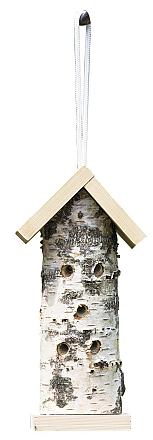 Insectenhuis hangende berkenstam