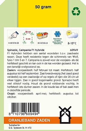 Spinazie Campania F1 Hybride 50 gr