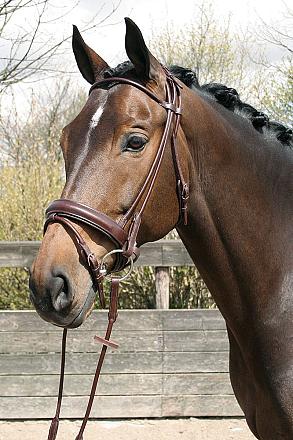 Harry's Horse hoofdstel Luxe rondgenaaid bruin