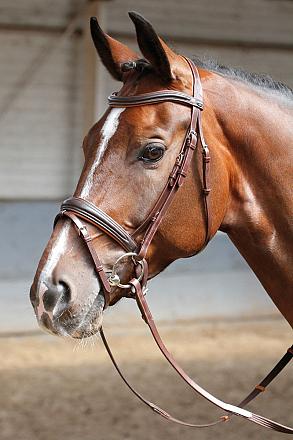 Harry's Horse hoofdstel Soft bruin