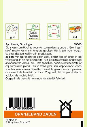 Spruitkool groninger