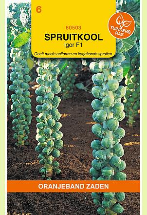 Spruitkool Igor F1 Hybride