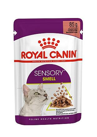 Royal Canin Kattenvoer Sensory Smell in gravy 12 x 85 gr
