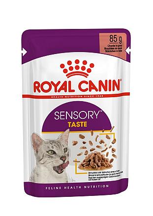 Royal Canin Kattenvoer Sensory Taste in gravy 12 x 85 gr