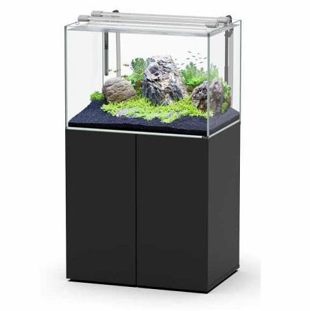 Aquatlantis Aqua Scape Set Zwart 80 x 55 cm